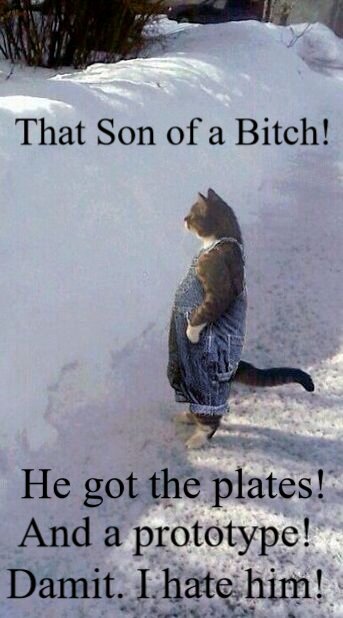 dungarees-cat2.jpg